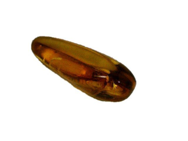 Baltic Amber Fossil with Insect Inside - Specimen in Display Case #A17