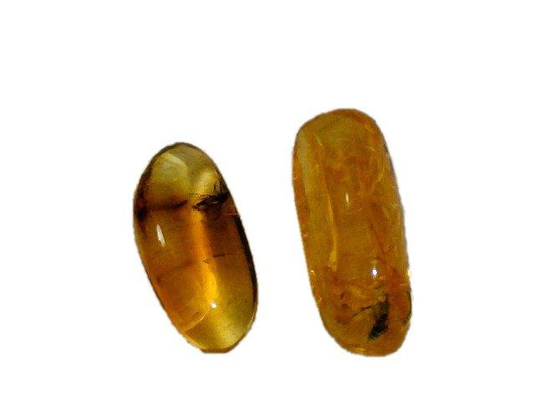 Two Small Baltic Amber Fossils with Insect Inside -Specimen in Display Case #A21